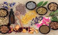 کاربرد و احتیاطات گیاهان دارویی در زندگی/تقلب در بازار عرضه گیاهان دارویی رایج است